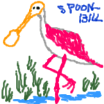 Illustration of a spoonbill